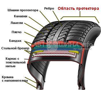 Конструкция шины